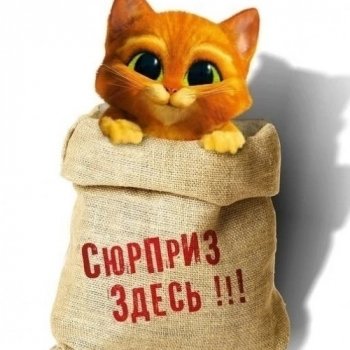 Кот в мешке