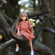 Прогулка по парку