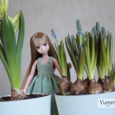 Так хочется весны! Зеленые фотографии