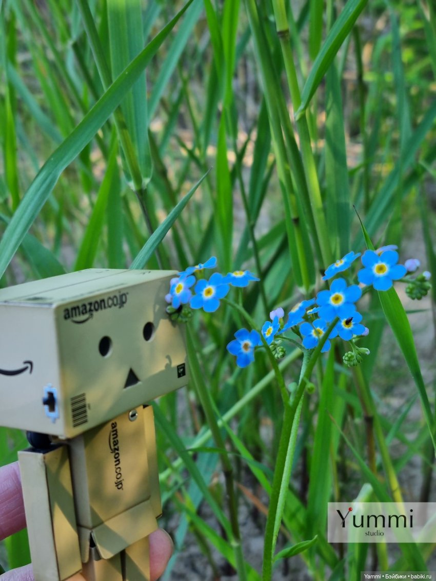 Коробочка — Разные шарнирные куклы (не БЖД): редкие (фото 7)