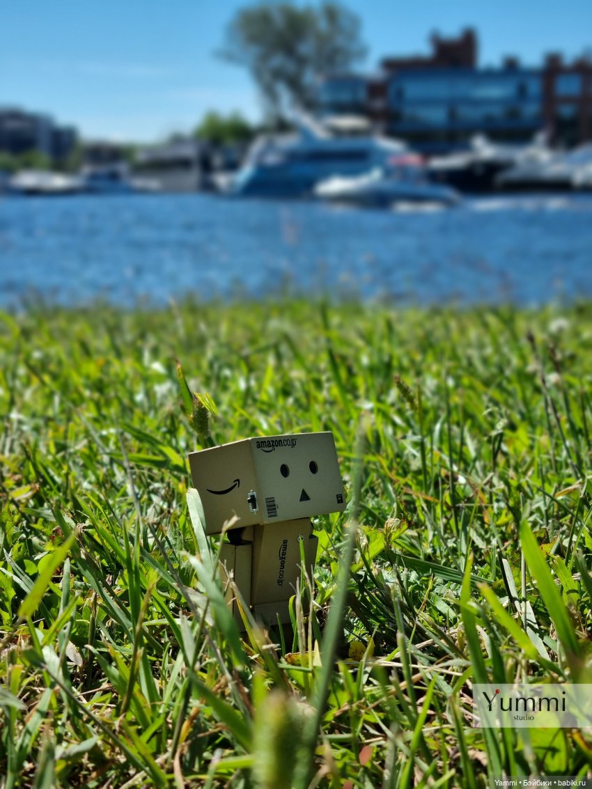 Коробочка — Разные шарнирные куклы (не БЖД): редкие (фото 4)