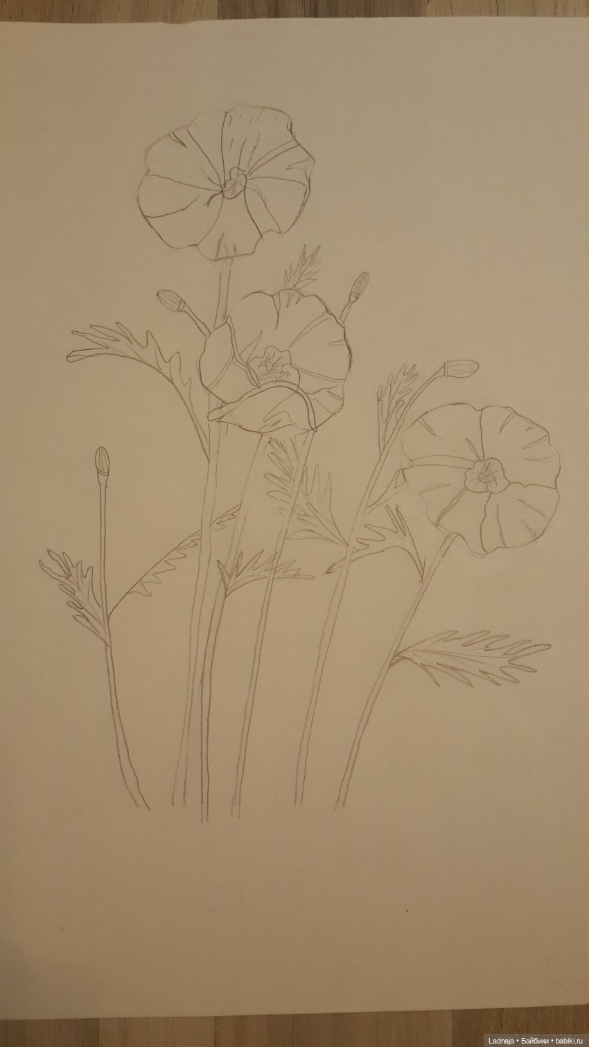 Маковое лето веснушки Эли (фото 3)