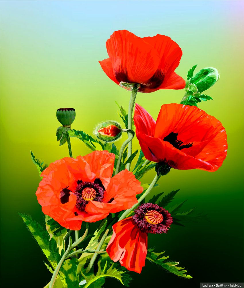 Маковое лето веснушки Эли (фото 8)