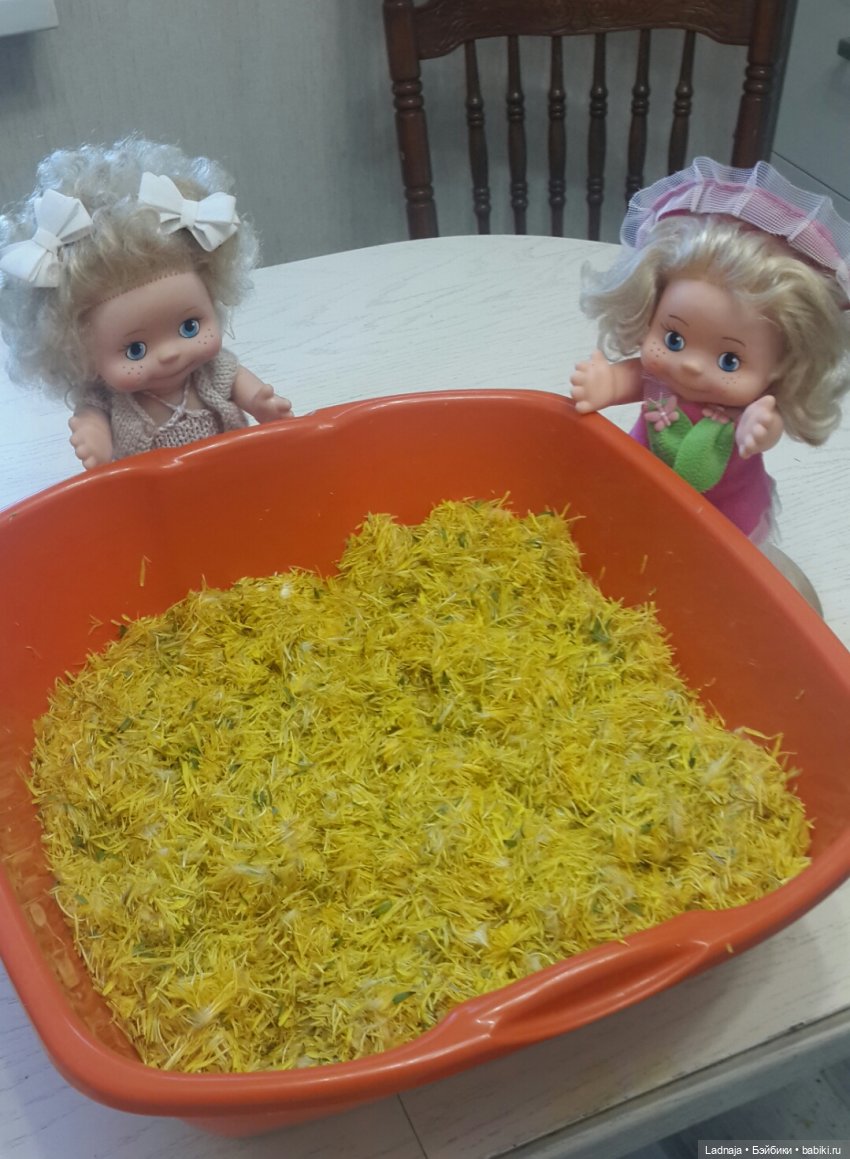 Одуванчиковый мёд или сладкий привет из детства (фото 4)