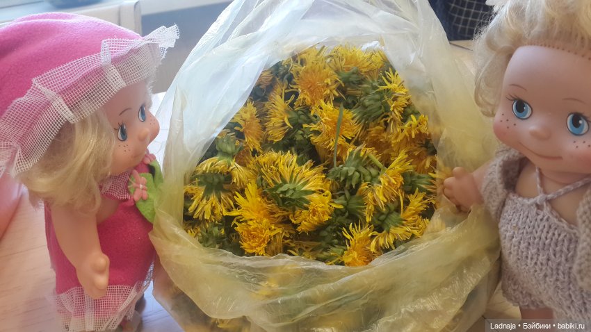 Одуванчиковый мёд или сладкий привет из детства (фото 3)