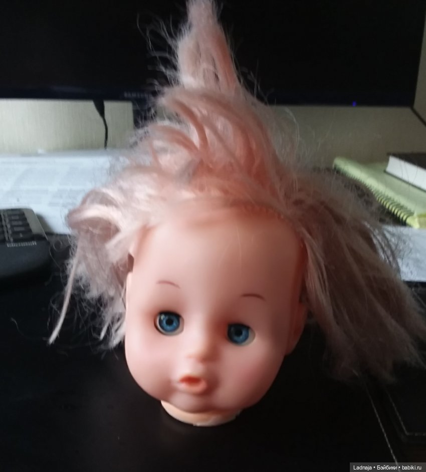 Спасение брошенных найденышей (фото 2)