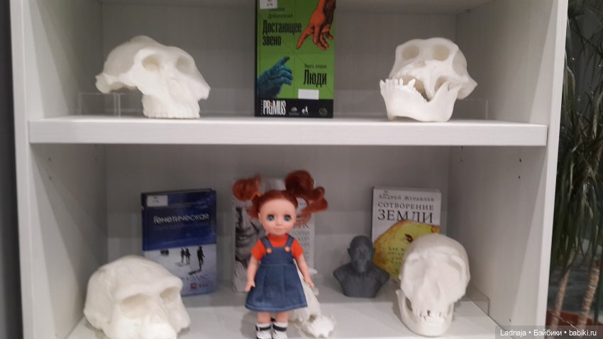 Как Ася со мной в библиотеку ходила (фото 2)