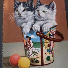 Сокровища старого  альбома