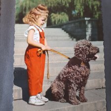 Элли, Железный дровосек и песочный человек. Сокровища альбома - 2