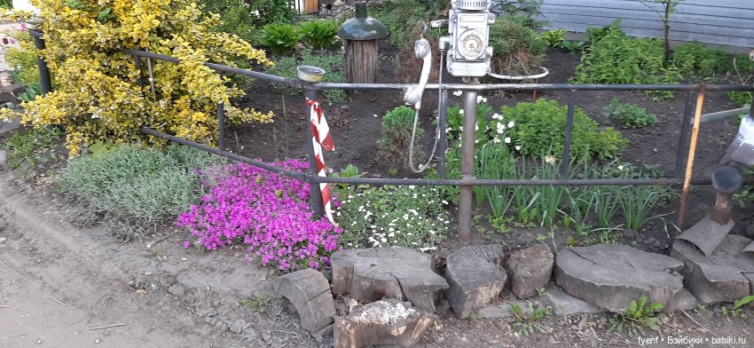 Всего одна майская неделя (фото 5)