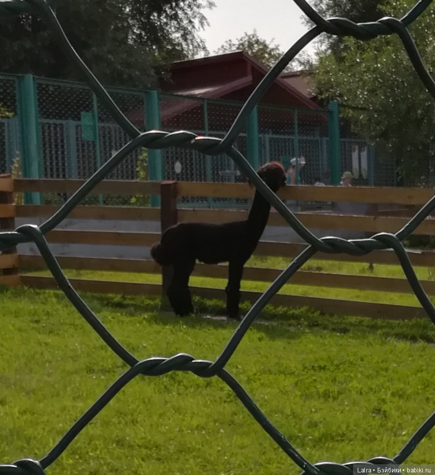 Роев ручей, Красноярск | Бэйбики Роев ручей, Красноярск — Болталка и разговоры обо всем: жизнь (фото 8)