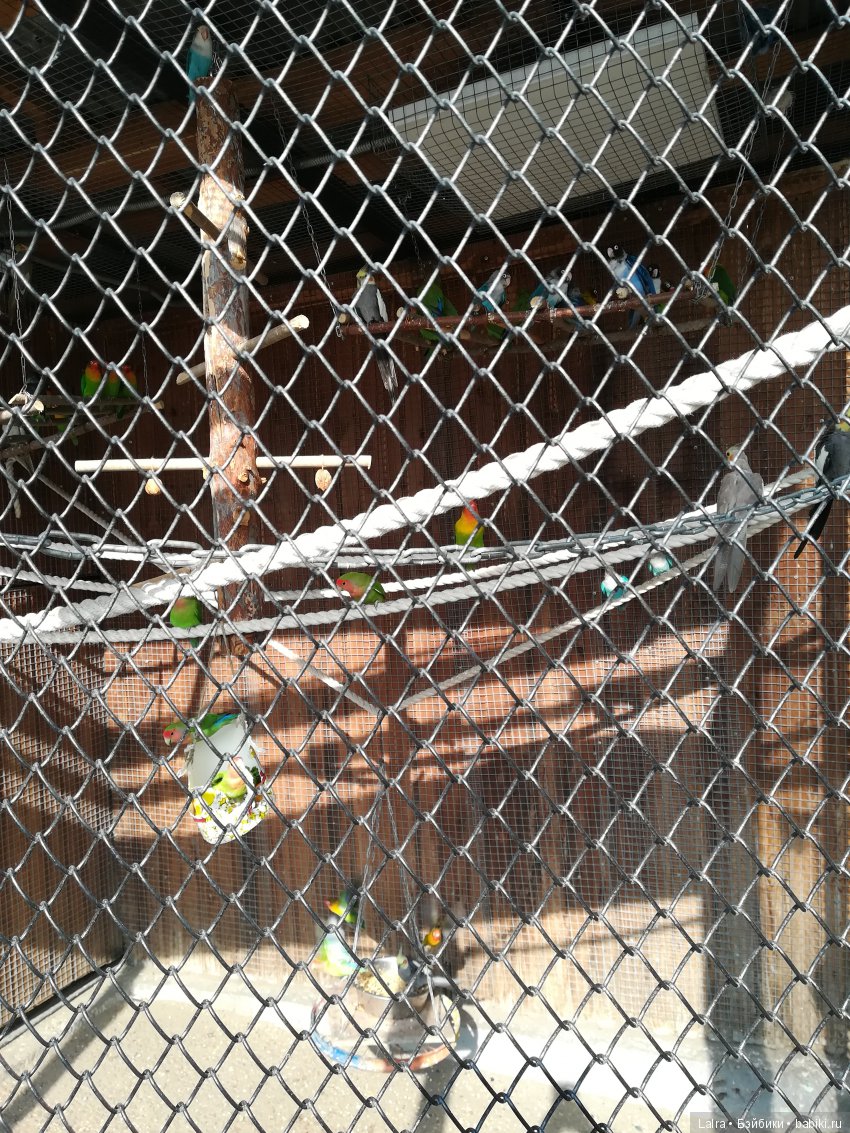 Роев ручей, Красноярск | Бэйбики Роев ручей, Красноярск — Болталка и разговоры обо всем: жизнь (фото 7)