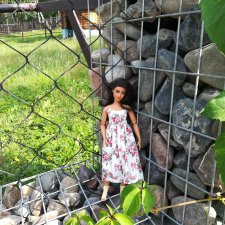 Роев ручей, Красноярск