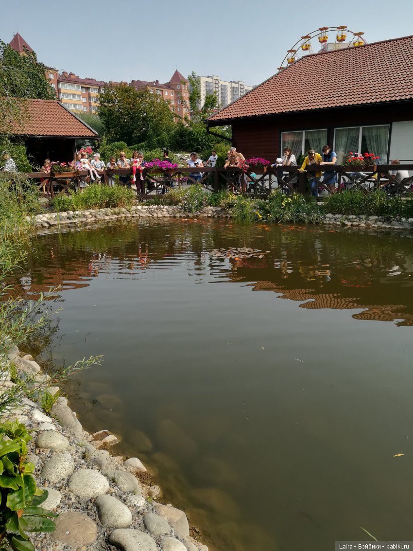 Летние будни — Болталка и разговоры обо всем: жизнь (фото 6)