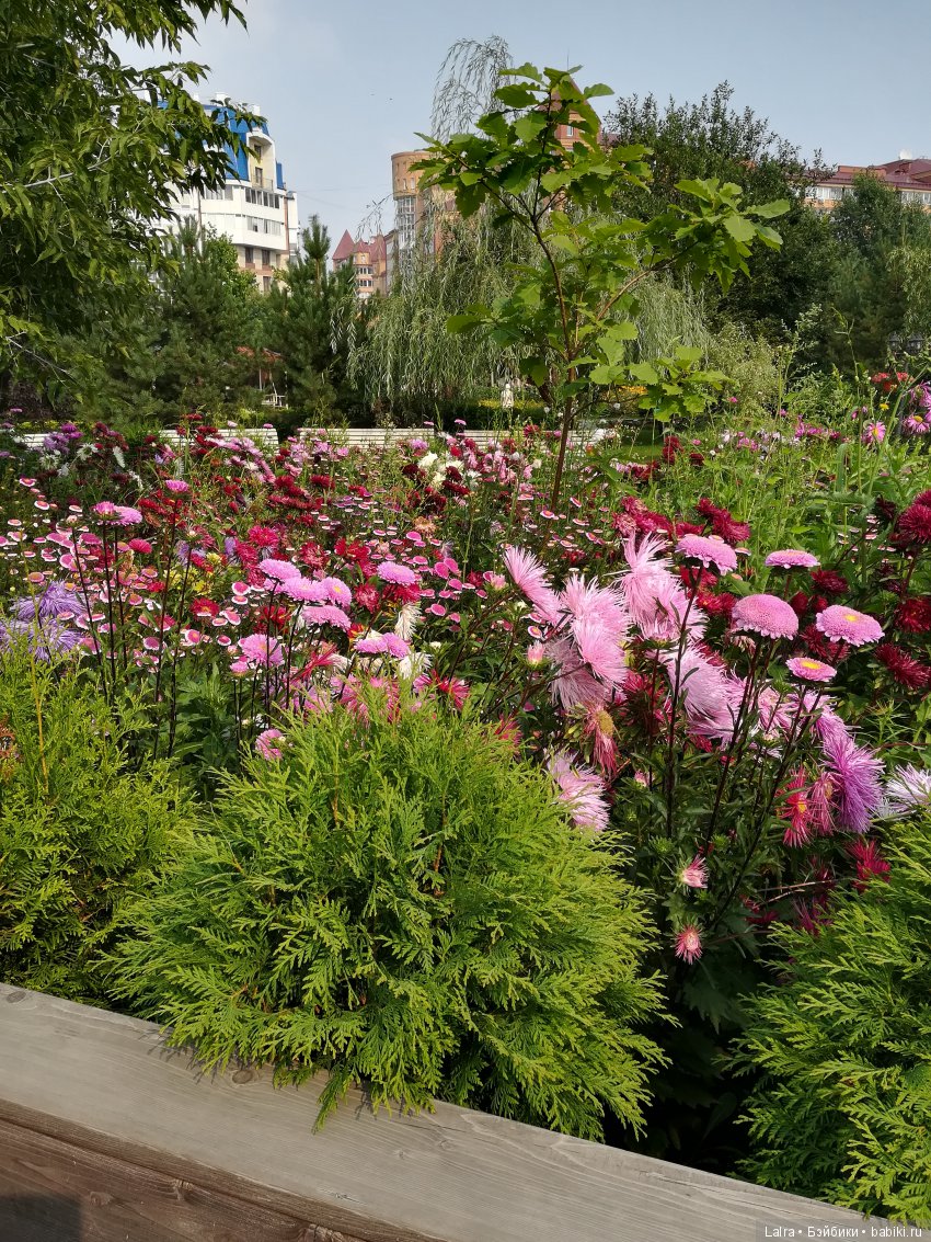 Летние будни — Болталка и разговоры обо всем: жизнь (фото 5)