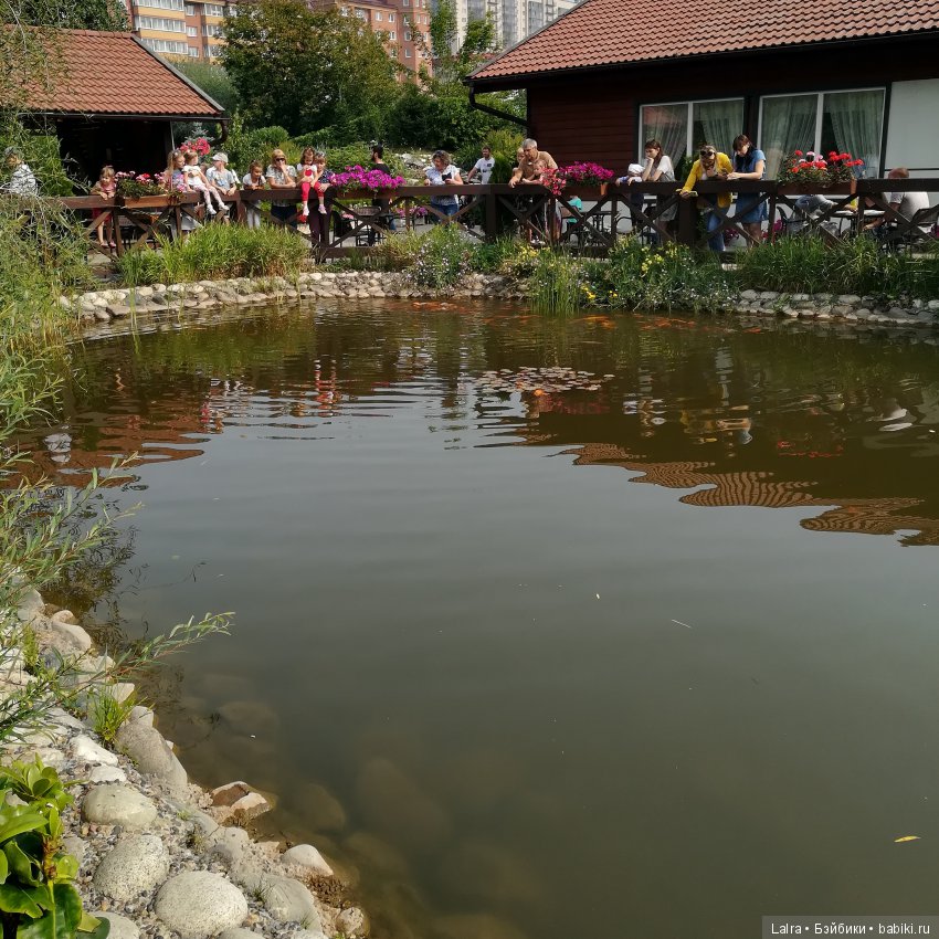 Летние будни — Болталка и разговоры обо всем: жизнь (фото 8)