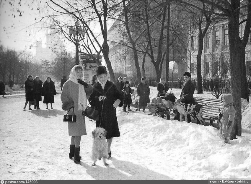 Маршруты московские... К куклам и на бульвары