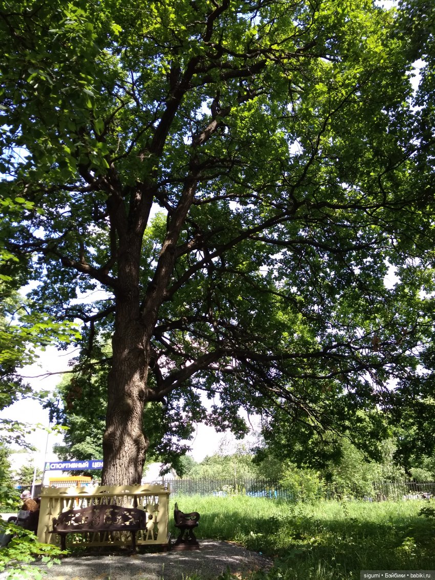 Маршруты московские... История совсем рядом