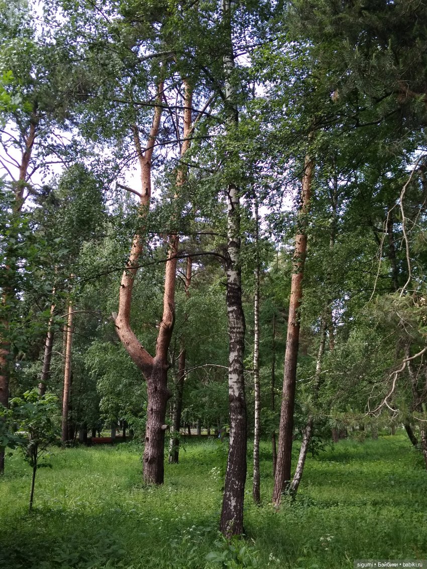 Маршруты московские... История совсем рядом (фото 9)