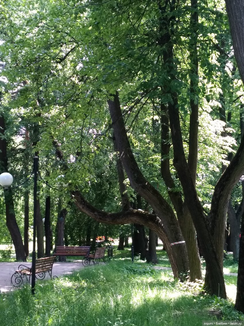 Маршруты московские... История совсем рядом (фото 8)