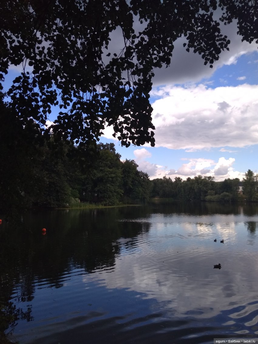 Маршруты московские...Из Москвы в Новую Москву (фото 2)