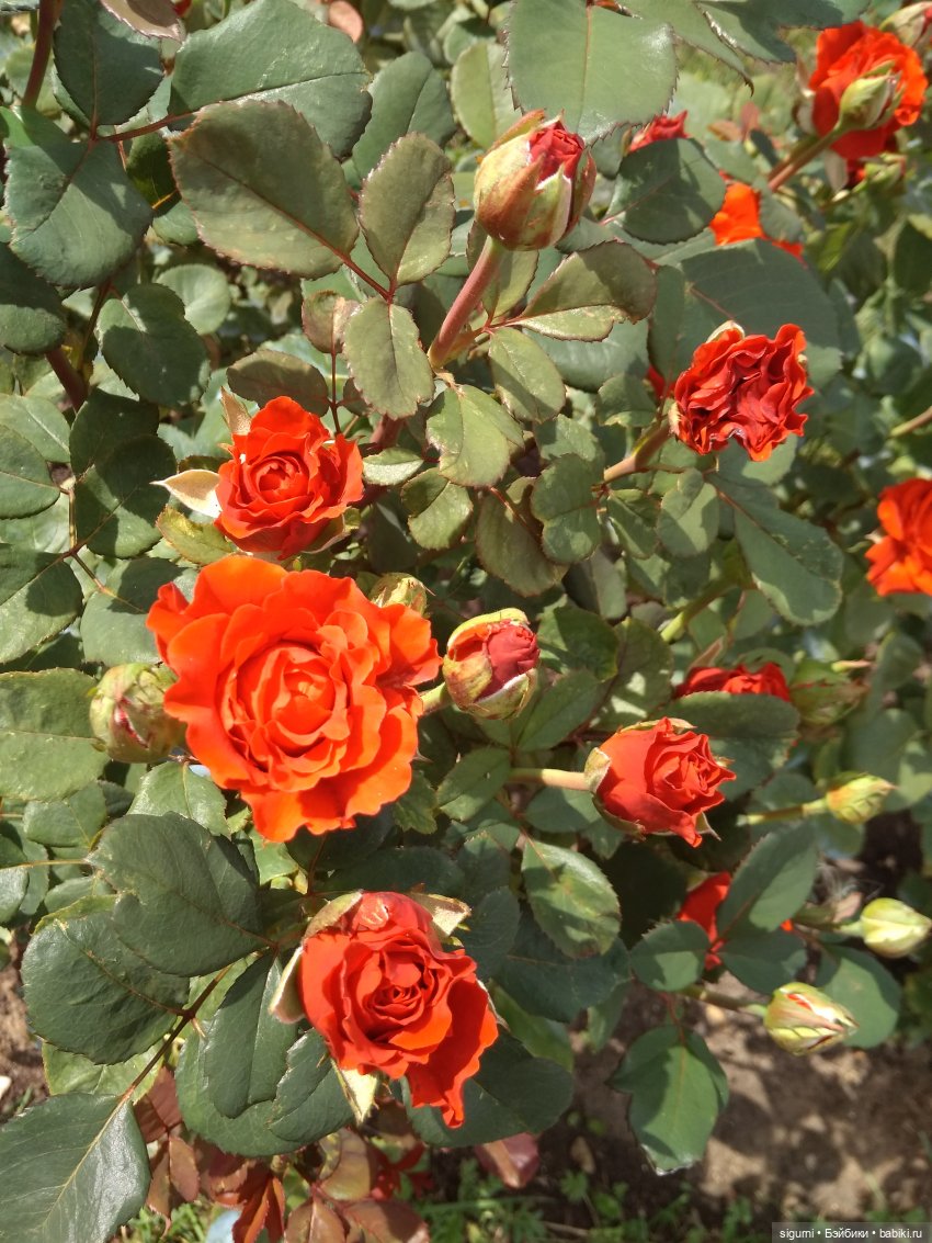 Маршруты московские...Из Москвы в Новую Москву