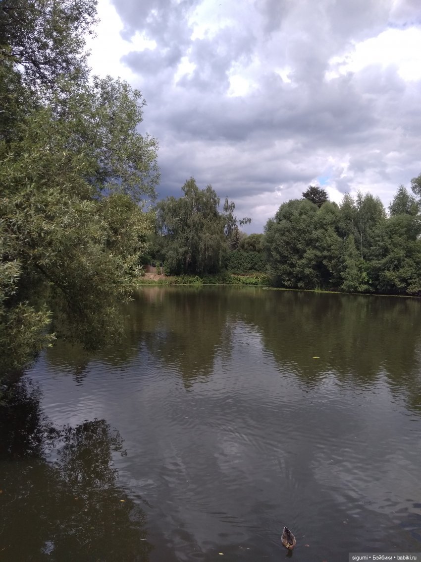 Маршруты московские...Из Москвы в Новую Москву