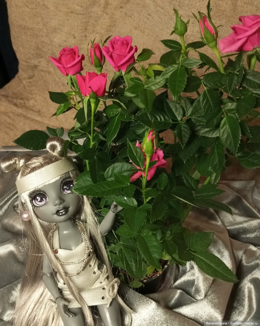 Фотографический этюд - очарованные розами. Приглашаю любителей Shadow high поболтать (фото 4)