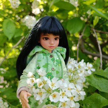 Цветёт черёмуха