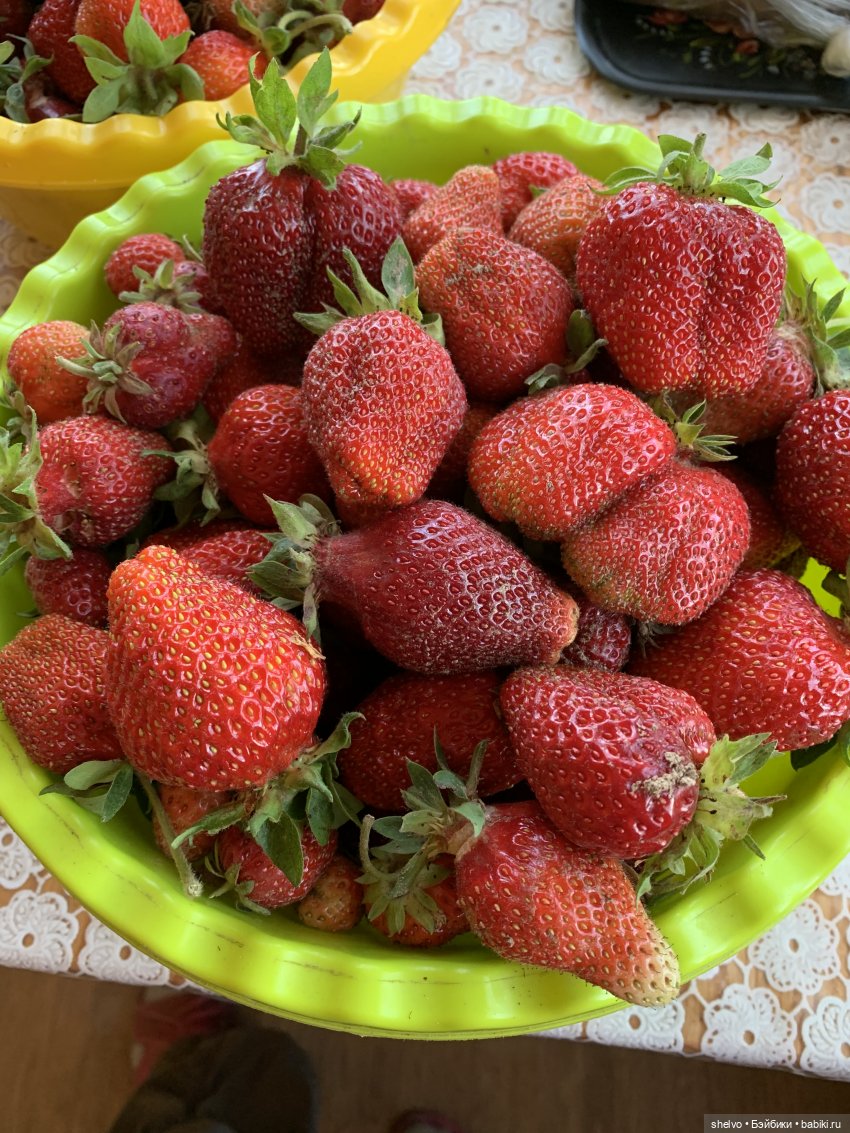 Витаминный десант — Мягкие игровые и текстильные куклы: тряпичные (фото 4)