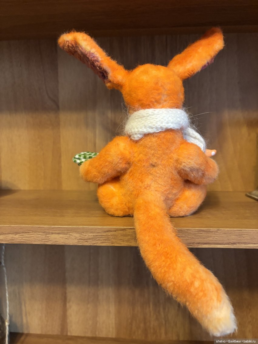 Как лис шкурку менял — Болталка и разговоры обо всем: жизнь (фото 3)