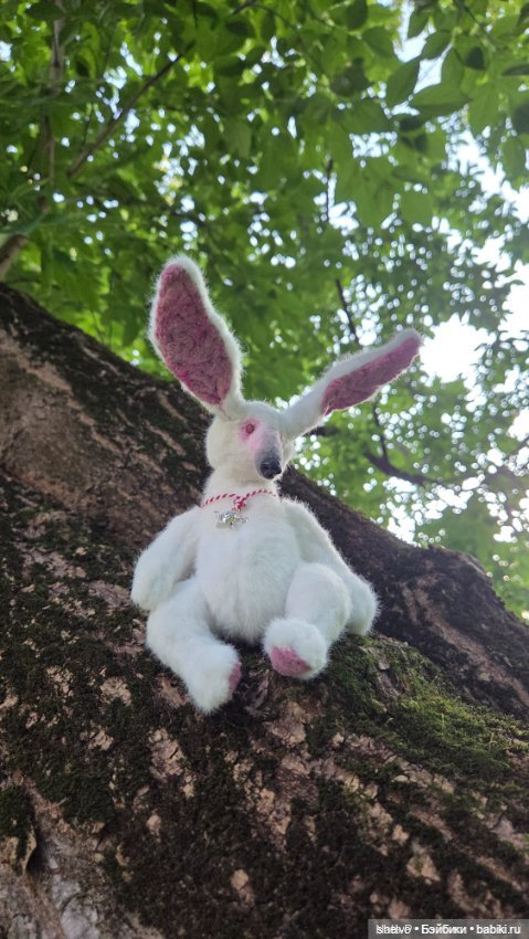 Как лис шкурку менял — Болталка и разговоры обо всем: жизнь