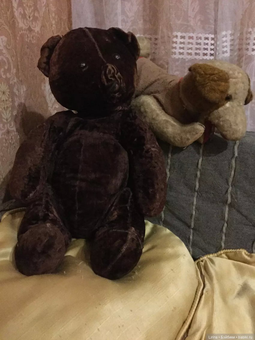 Это мой старичок Мишук со своим приятелем Брутиком