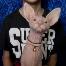 Сфинксы из шерсти, сухое валяние