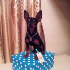 Игрушка из шерсти