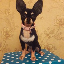 Чихуахуа из шерсти