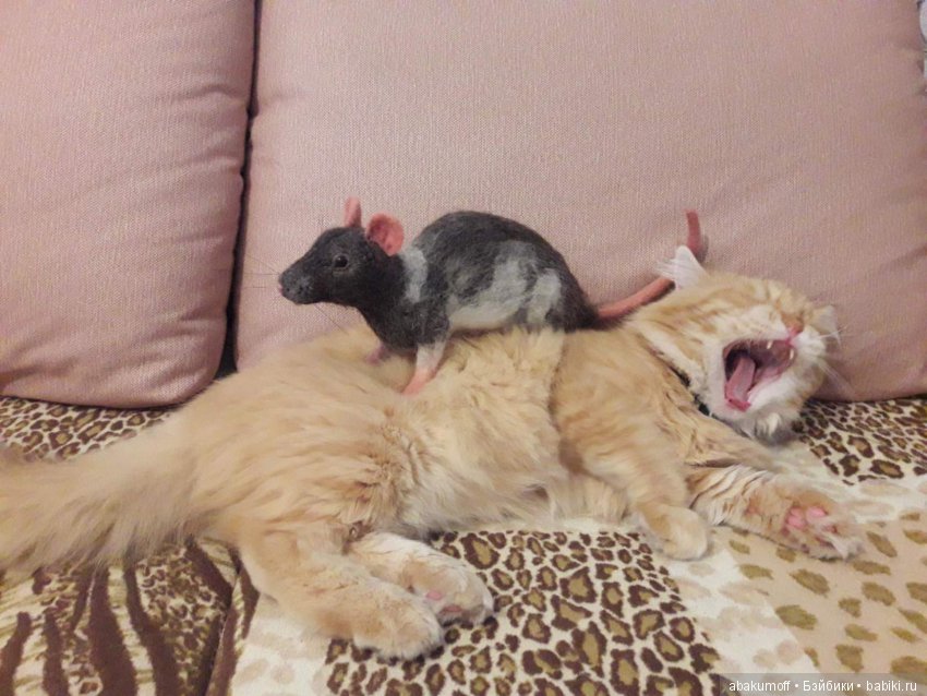 еще какой недовольный)))