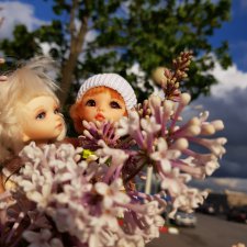 Маленькие прогулки