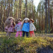 Путешествие в лес