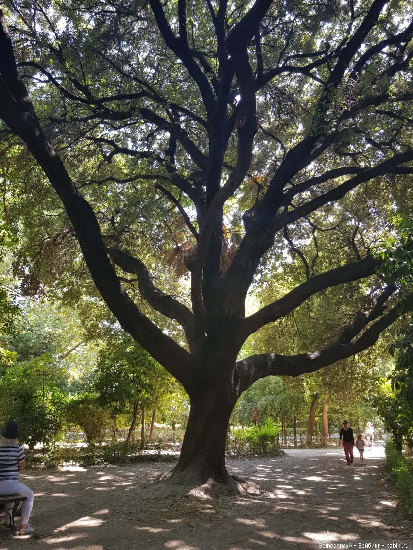 Афины древние и современные. Часть 2