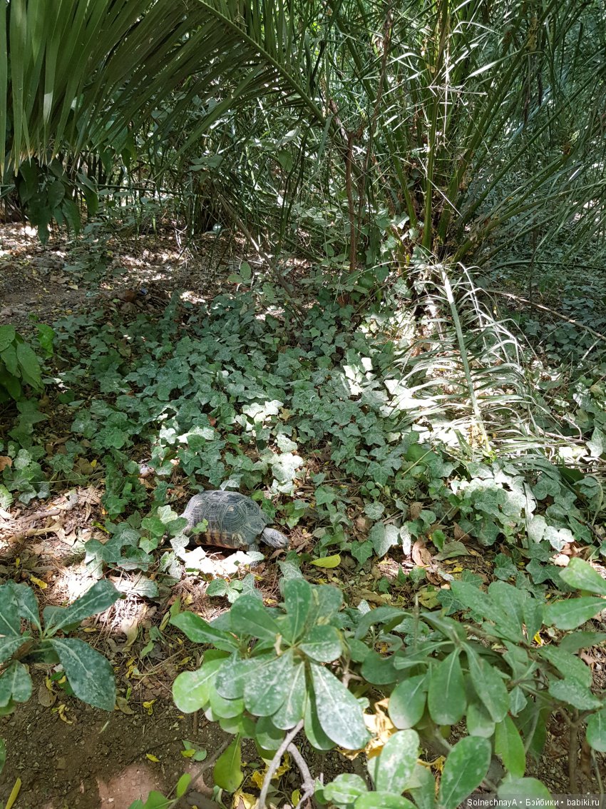 Афины древние и современные. Часть 2