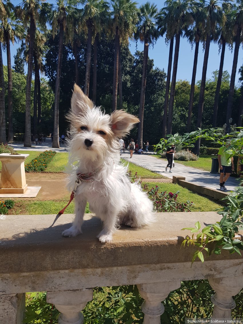 Афины древние и современные. Часть 2