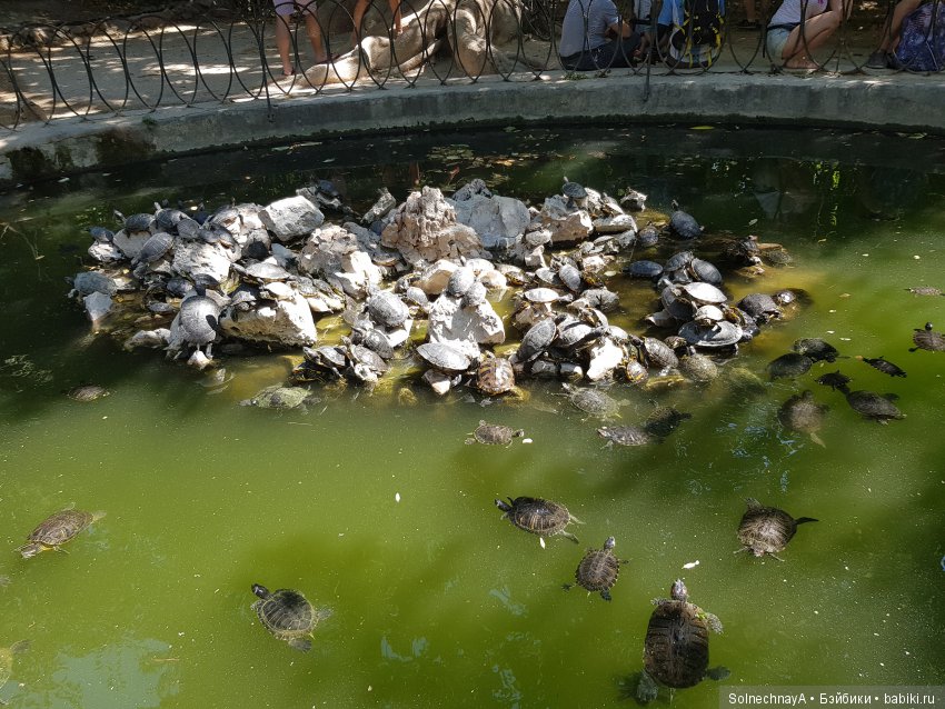 Афины древние и современные. Часть 2