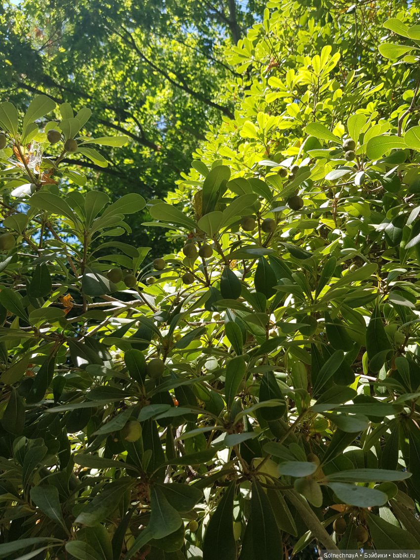 Афины древние и современные. Часть 2