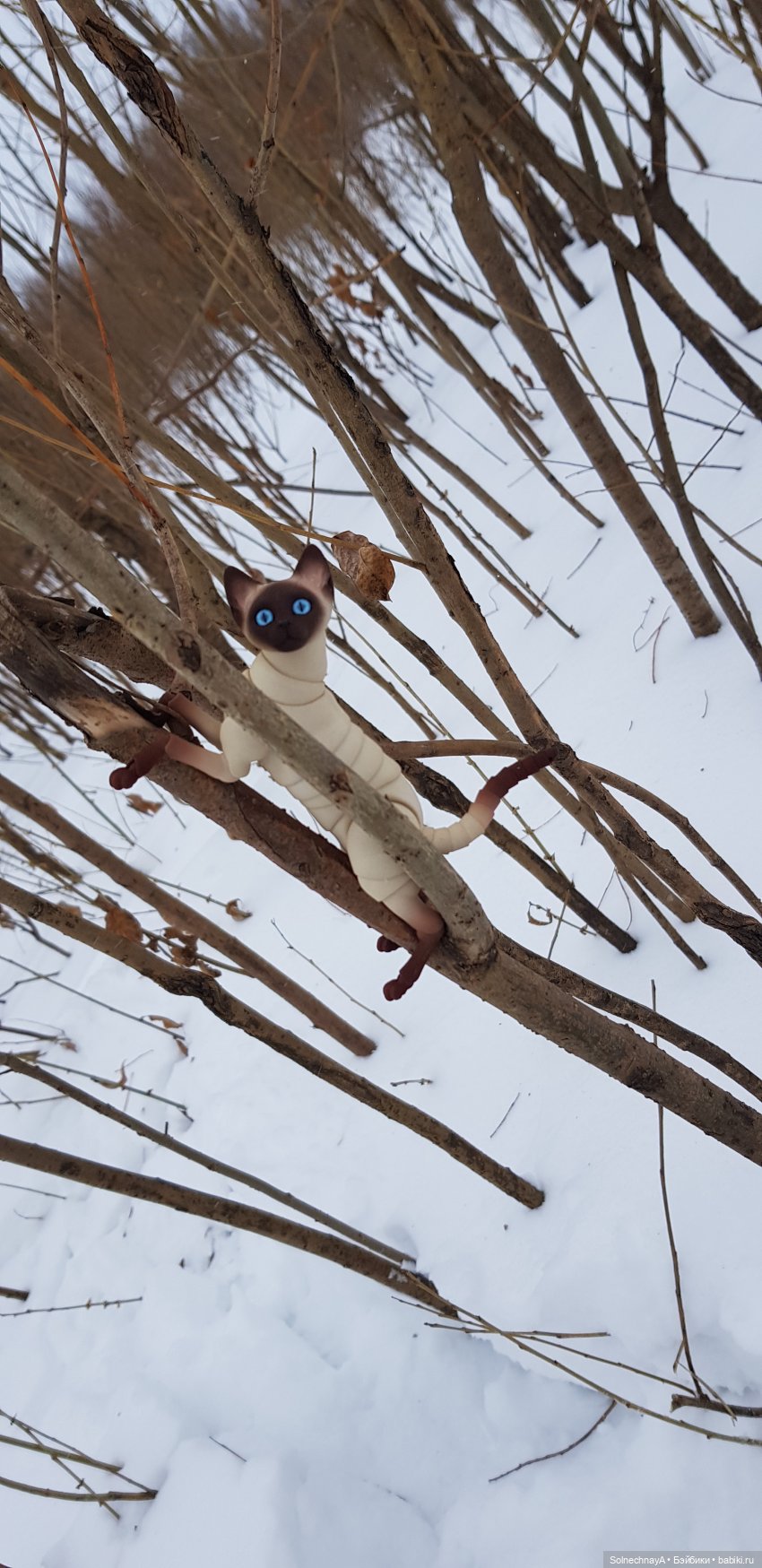 Кот и лиса — Фотоистории с куклами BJD (БЖД): сериалы (фото 2)