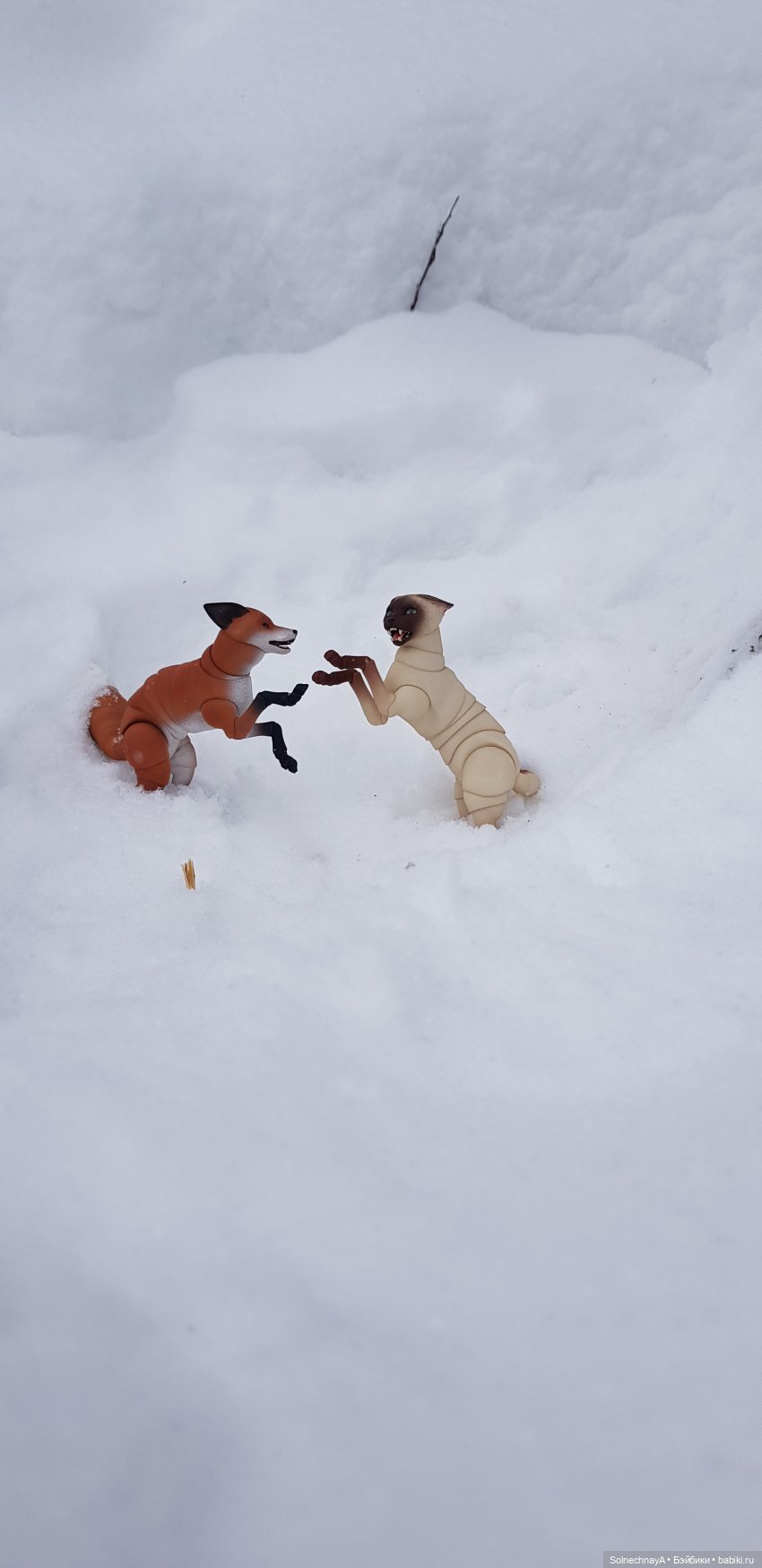 Кот и лиса — Фотоистории с куклами BJD (БЖД): сериалы (фото 10)