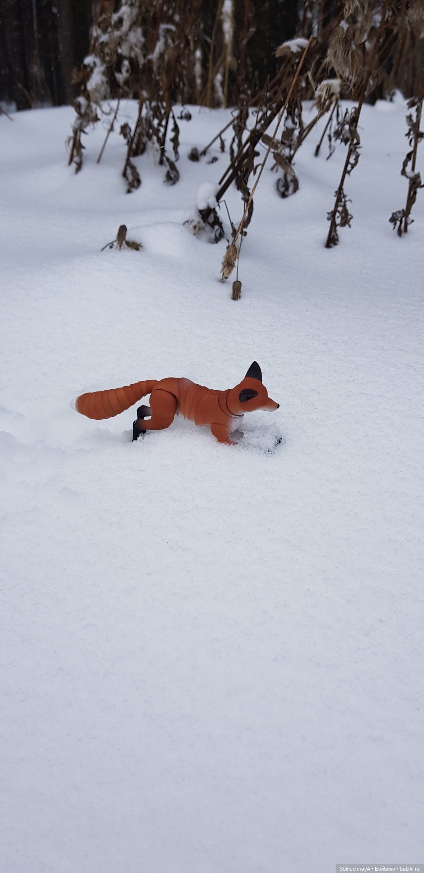 Кот и лиса — Фотоистории с куклами BJD (БЖД): сериалы (фото 3)
