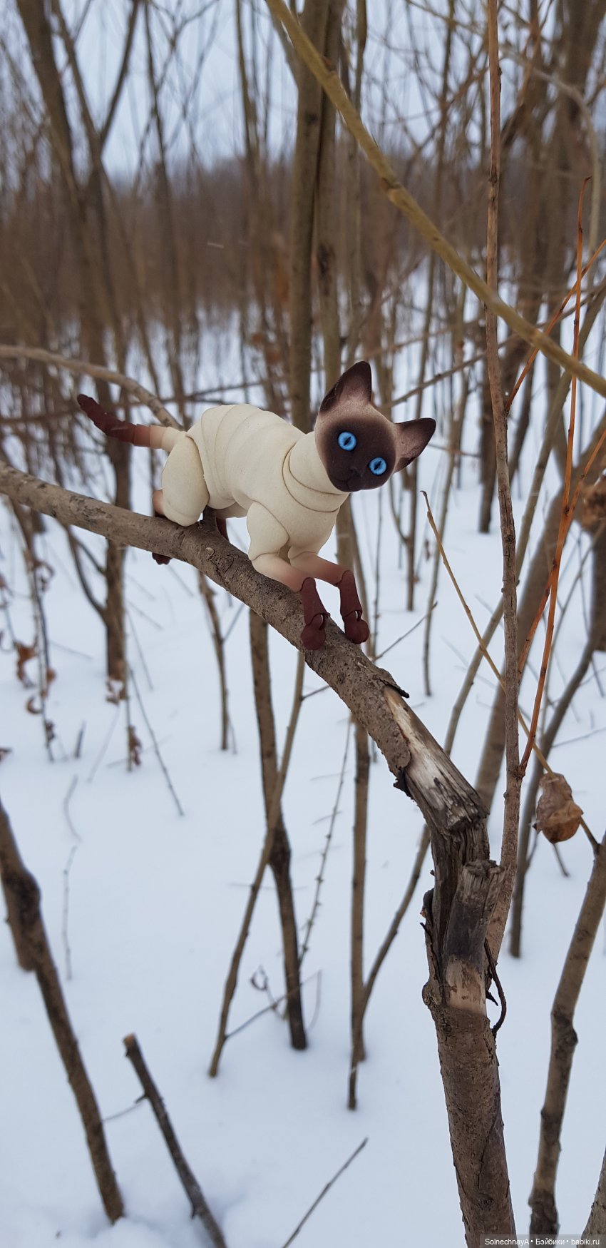 Кот и лиса — Фотоистории с куклами BJD (БЖД): сериалы (фото 8)