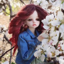 Дорин. Весенние фото