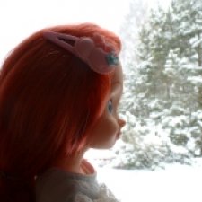 Из жизни птиц (Для настроения)